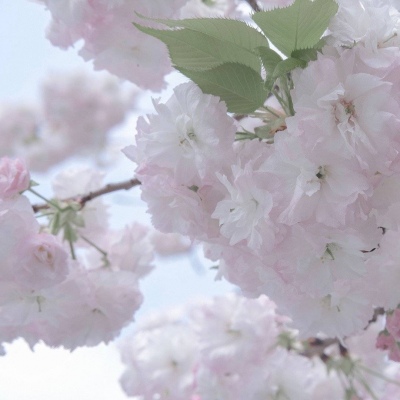 Furry写实风格绘画技巧兽圈群